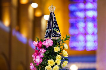 a bouquet of flowers